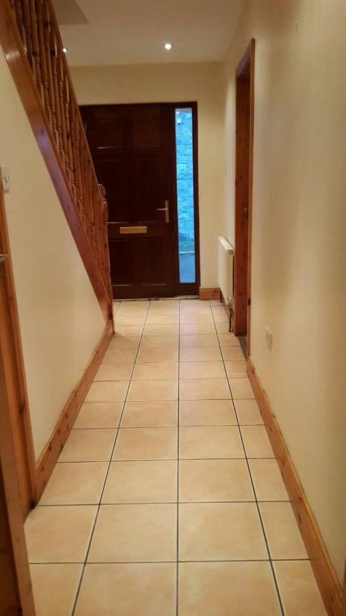 Willa Townhouse 4 Barrow Lane Carlow Zewnętrze zdjęcie